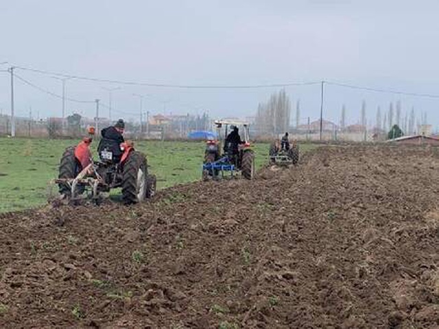 Sındırgı'ya karakılçık buğdayı ekildi