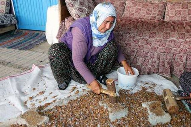 2 çocuğunu andız pekmezi yaparak okuttu! Kilosu 50 liradan yok satıyor