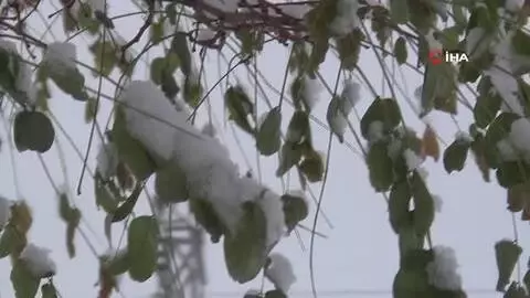 Ahlat'ta mevsimin ilk karı yağdı Ahlat'ta mevsimin ilk karı yağdı