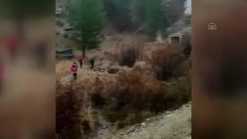 Düzensiz göçmenleri taşıyan minibüs devrildi: 1 ölü, 6 yaralı Düzensiz göçmenleri taşıyan minibüs devrildi: 1 ölü, 6 yaralı