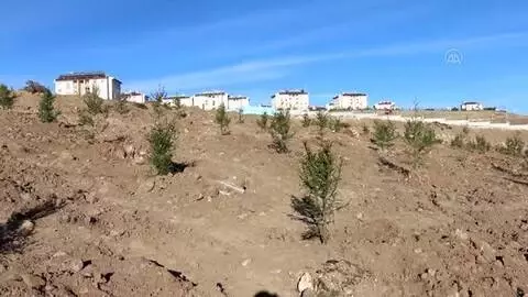 Erciş'te 1742 fidan toprakla buluşturuldu Erciş'te 1742 fidan toprakla buluşturuldu