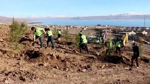 Erciş'te 1742 fidan toprakla buluşturuldu Erciş'te 1742 fidan toprakla buluşturuldu