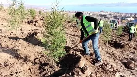 Erciş'te 1742 fidan toprakla buluşturuldu Erciş'te 1742 fidan toprakla buluşturuldu