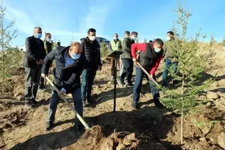 Erciş'te 1742 fidan toprakla buluşturuldu Erciş'te 1742 fidan toprakla buluşturuldu