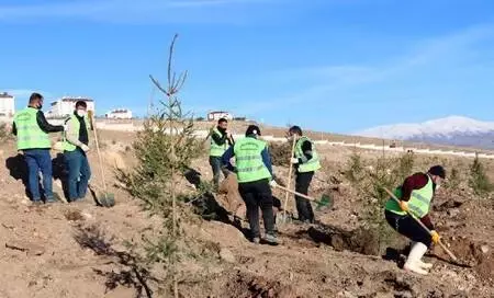 Erciş'te 1742 fidan toprakla buluşturuldu Erciş'te 1742 fidan toprakla buluşturuldu