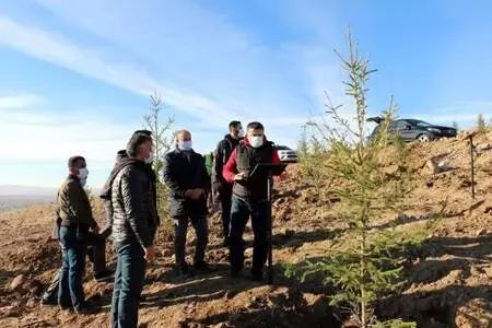 Erciş'te 1742 fidan toprakla buluşturuldu Erciş'te 1742 fidan toprakla buluşturuldu