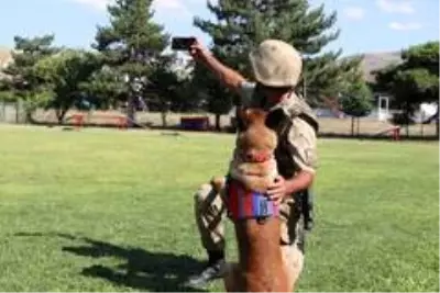 Jandarma, can dostları köpekler için kısa film çekti Jandarma, can dostları köpekler için kısa film çekti