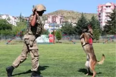 Jandarma, can dostları köpekler için kısa film çekti Jandarma, can dostları köpekler için kısa film çekti