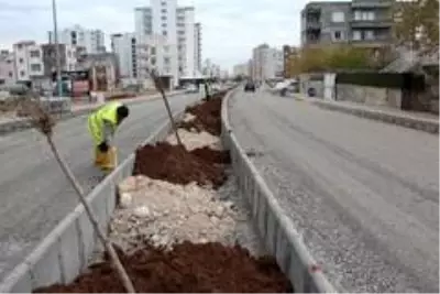 Kahta'da yeşillendirme çalışmaları devam ediyor Kahta'da yeşillendirme çalışmaları devam ediyor