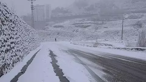 Van, Bitlis ve Muş'ta kar etkili oldu Van, Bitlis ve Muş'ta kar etkili oldu