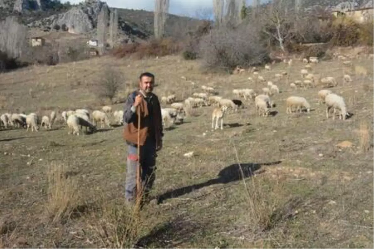 Son dakika haberi... Koronavirüsten kaçtı, 9 aydır köyde yaşıyor