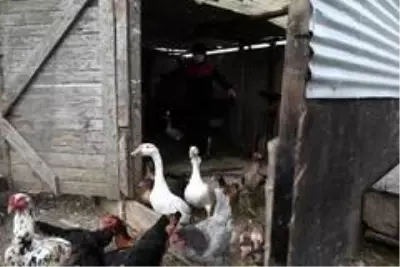 Milyonluk arazideki gecekondu kümesler toma ve çevik kuvvet eşliğinde yıkıldı Milyonluk arazideki gecekondu kümesler toma ve çevik kuvvet eşliğinde yıkıldı
