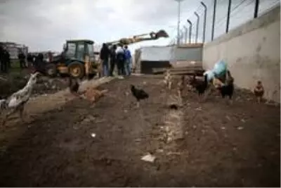 Milyonluk arazideki gecekondu kümesler toma ve çevik kuvvet eşliğinde yıkıldı Milyonluk arazideki gecekondu kümesler toma ve çevik kuvvet eşliğinde yıkıldı