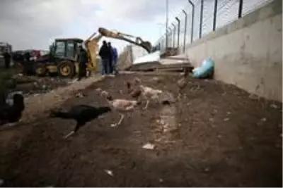 Milyonluk arazideki gecekondu kümesler toma ve çevik kuvvet eşliğinde yıkıldı Milyonluk arazideki gecekondu kümesler toma ve çevik kuvvet eşliğinde yıkıldı