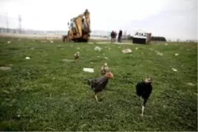 Milyonluk arazideki gecekondu kümesler toma ve çevik kuvvet eşliğinde yıkıldı Milyonluk arazideki gecekondu kümesler toma ve çevik kuvvet eşliğinde yıkıldı