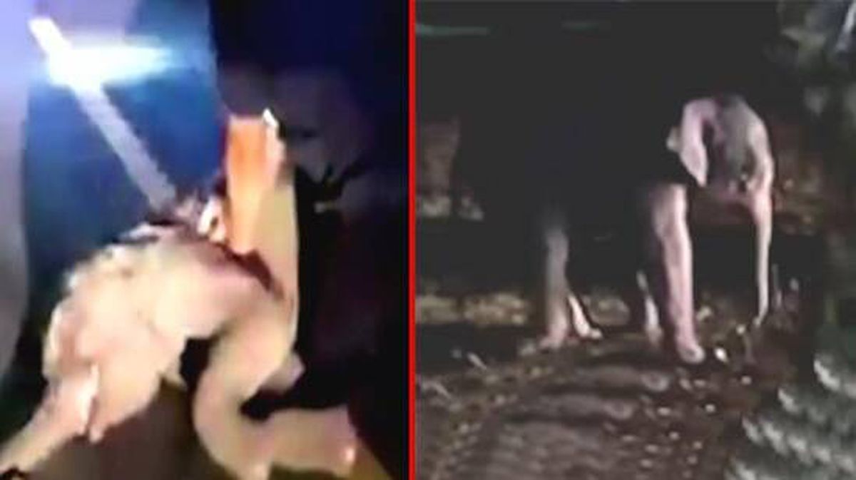 Motosikletin çarptığı yavru fil, kalp masajıyla hayata döndürüldü! Kurtarma anı anbean kamerada
