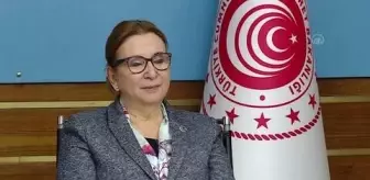 Pekcan: 'AB ile Birleşik Krallık arasındaki sürecin tamamlanmasını yakinen takip ediyoruz.