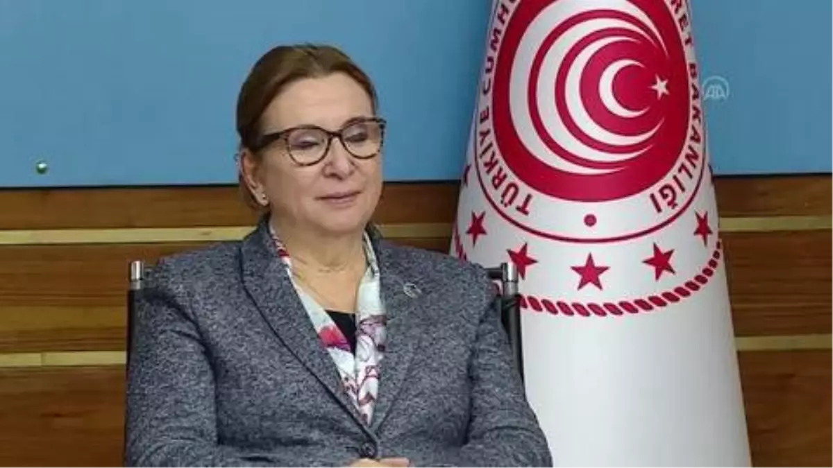 Pekcan: 'AB ile Birleşik Krallık arasındaki sürecin tamamlanmasını yakinen takip ediyoruz.