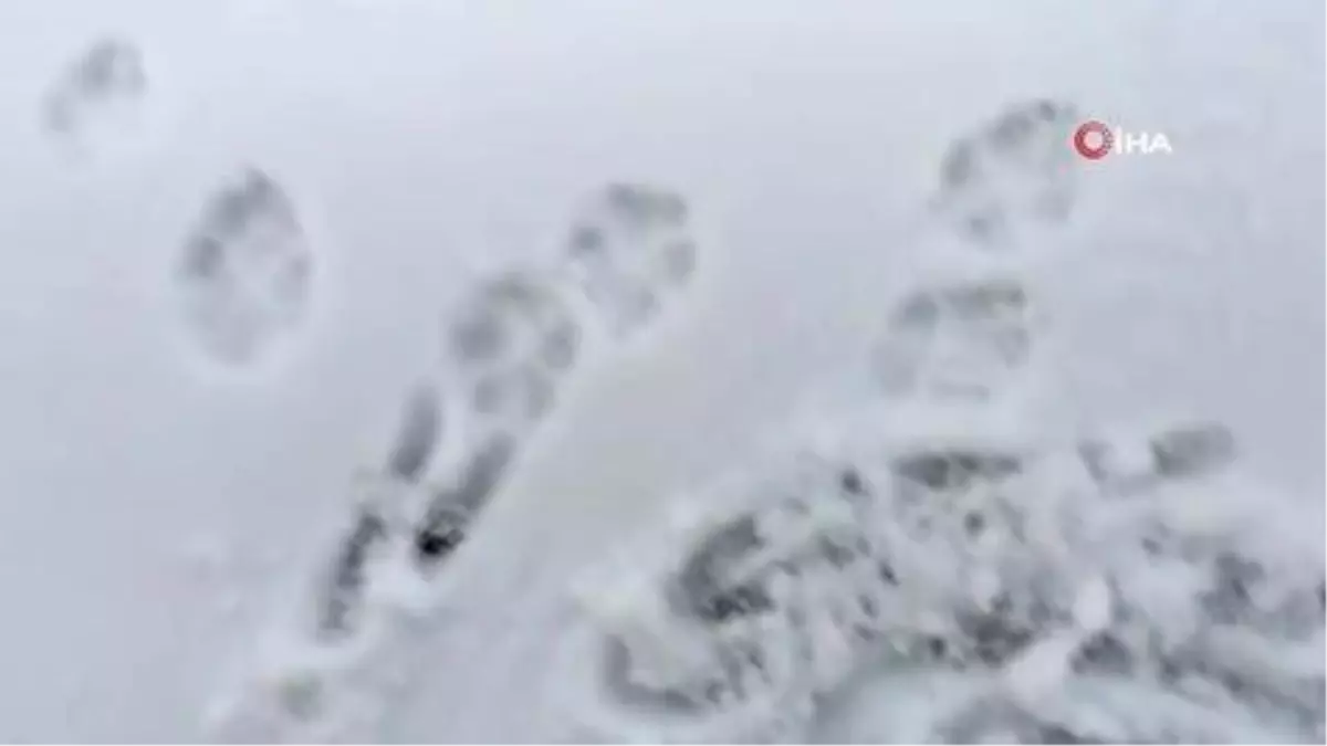 Sakarya'nın Dikmen Yaylası ve Keremali Dağı beyaz gelinliğini giydi