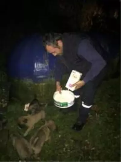 Sokak hayvanları unutulmadı Sokak hayvanları unutulmadı