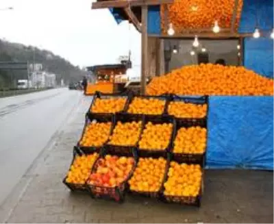 Vitamin deposu Derepazarı mandalinası tezgahları süslüyor Vitamin deposu Derepazarı mandalinası tezgahları süslüyor