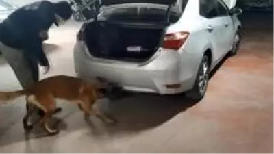 Vites kutusuna saklanan uyuşturucuları narkotik köpeği Galya böyle buldu Vites kutusuna saklanan uyuşturucuları narkotik köpeği Galya böyle buldu