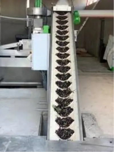 Zeytin bahçeleri tarıma dayalı sanayiyi geliştiriyor Zeytin bahçeleri tarıma dayalı sanayiyi geliştiriyor