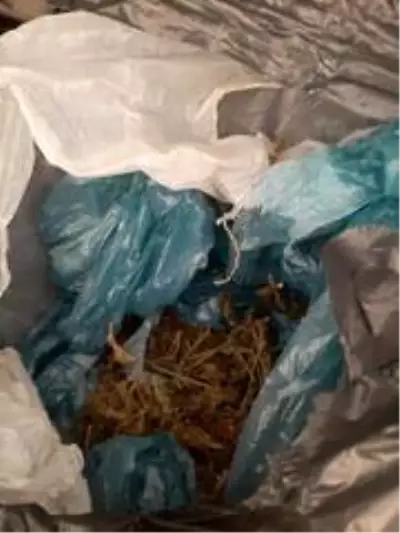 Son dakika! Arsuz'da uyuşturucu operasyonu Son dakika! Arsuz'da uyuşturucu operasyonu