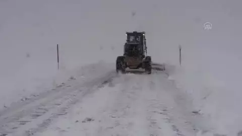 Özalp ve Saray'da kar hayatı olumsuz etkiledi Özalp ve Saray'da kar hayatı olumsuz etkiledi
