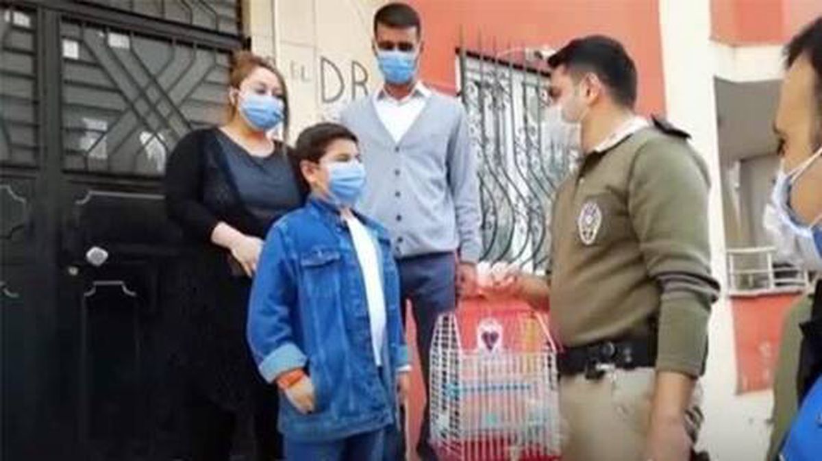 Bakan Soylu, kaplumbağasından ayrı düşen Eymen'e muhabbet kuşu hediye etti