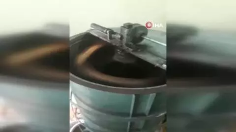 Hatay'ın şifa kaynağı: Püren balı Hatay'ın şifa kaynağı: Püren balı