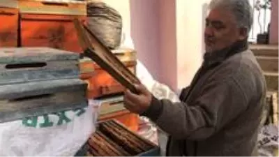 - Hatay'ın şifa kaynağı: 'Püren balı' - Hatay'ın şifa kaynağı: 'Püren balı'