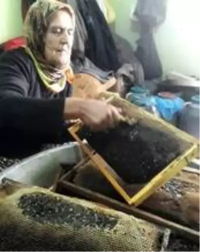 - Hatay'ın şifa kaynağı: 'Püren balı' - Hatay'ın şifa kaynağı: 'Püren balı'