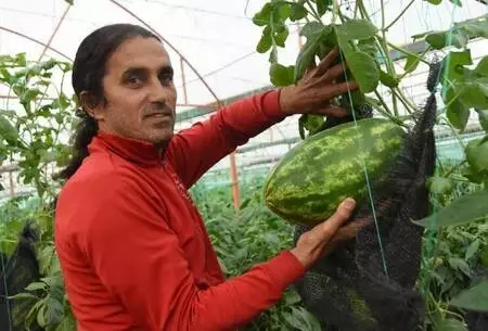 Serasında yediği karpuzun çekirdeklerini rastgele attı, kışın ortasında karpuz çıktı