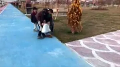 - Sokak hayvanlarını besleyen çocuklar yürek ısıttı - Sokak hayvanlarını besleyen çocuklar yürek ısıttı