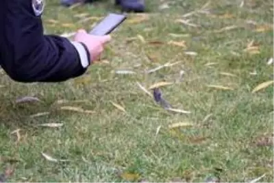 Tanımadığı kişi tarafından bıçaklanan genç kız dehşeti yaşadı Tanımadığı kişi tarafından bıçaklanan genç kız dehşeti yaşadı