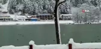 Uzungöl'den kar manzaraları