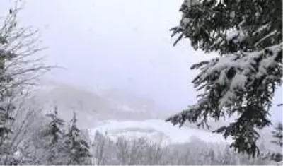 Artvin'de kar yağışı nedeniyle 29 köy yolu ulaşıma kapandı Artvin'de kar yağışı nedeniyle 29 köy yolu ulaşıma kapandı
