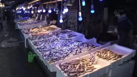 Balıkçılar satışlardan memnun Balıkçılar satışlardan memnun