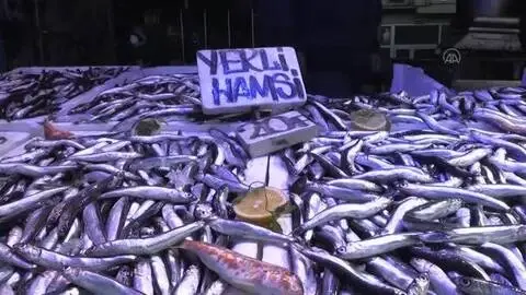 Balıkçılar satışlardan memnun Balıkçılar satışlardan memnun