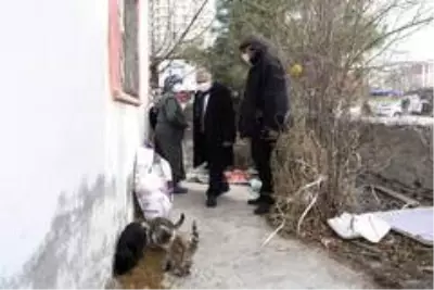 Mektup yazarak kedilerine mama isteyen hayvansevere belediyeden destek Mektup yazarak kedilerine mama isteyen hayvansevere belediyeden destek