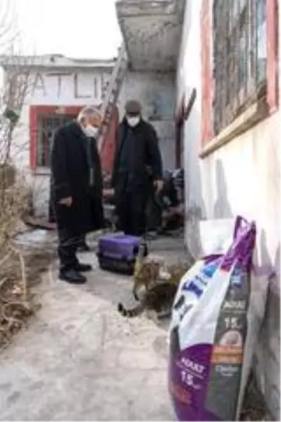 Mektup yazarak kedilerine mama isteyen hayvansevere belediyeden destek Mektup yazarak kedilerine mama isteyen hayvansevere belediyeden destek