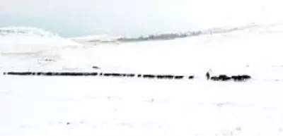 Kar ve tipi köy yollarını ulaşıma kapadı Kar ve tipi köy yollarını ulaşıma kapadı