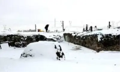 Kar ve tipi köy yollarını ulaşıma kapadı Kar ve tipi köy yollarını ulaşıma kapadı