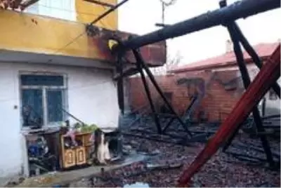 Kahraman itfaiyeciler alevlerin arasında kalan 8 yavru ve anne köpeği kurtardı Kahraman itfaiyeciler alevlerin arasında kalan 8 yavru ve anne köpeği kurtardı