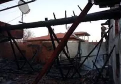 Kahraman itfaiyeciler alevlerin arasında kalan 8 yavru ve anne köpeği kurtardı Kahraman itfaiyeciler alevlerin arasında kalan 8 yavru ve anne köpeği kurtardı