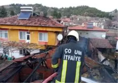 Kahraman itfaiyeciler alevlerin arasında kalan 8 yavru ve anne köpeği kurtardı Kahraman itfaiyeciler alevlerin arasında kalan 8 yavru ve anne köpeği kurtardı
