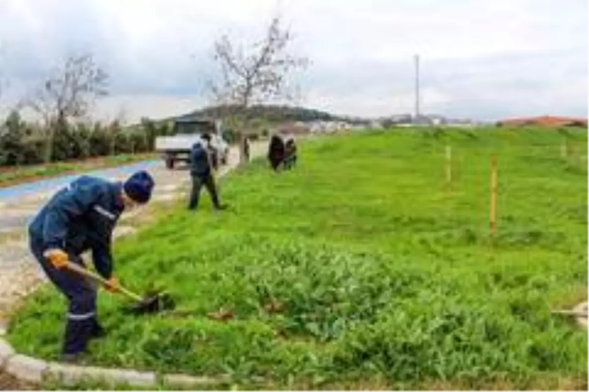 Karacabey'de binlerce fidan toprakla buluşuyor