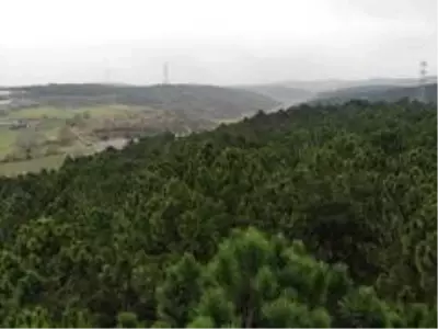Kemerburgaz Kent Ormanı'nda renk cümbüşü Kemerburgaz Kent Ormanı'nda renk cümbüşü