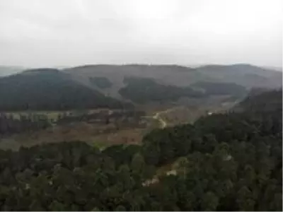 Kemerburgaz Kent Ormanı'nda renk cümbüşü Kemerburgaz Kent Ormanı'nda renk cümbüşü